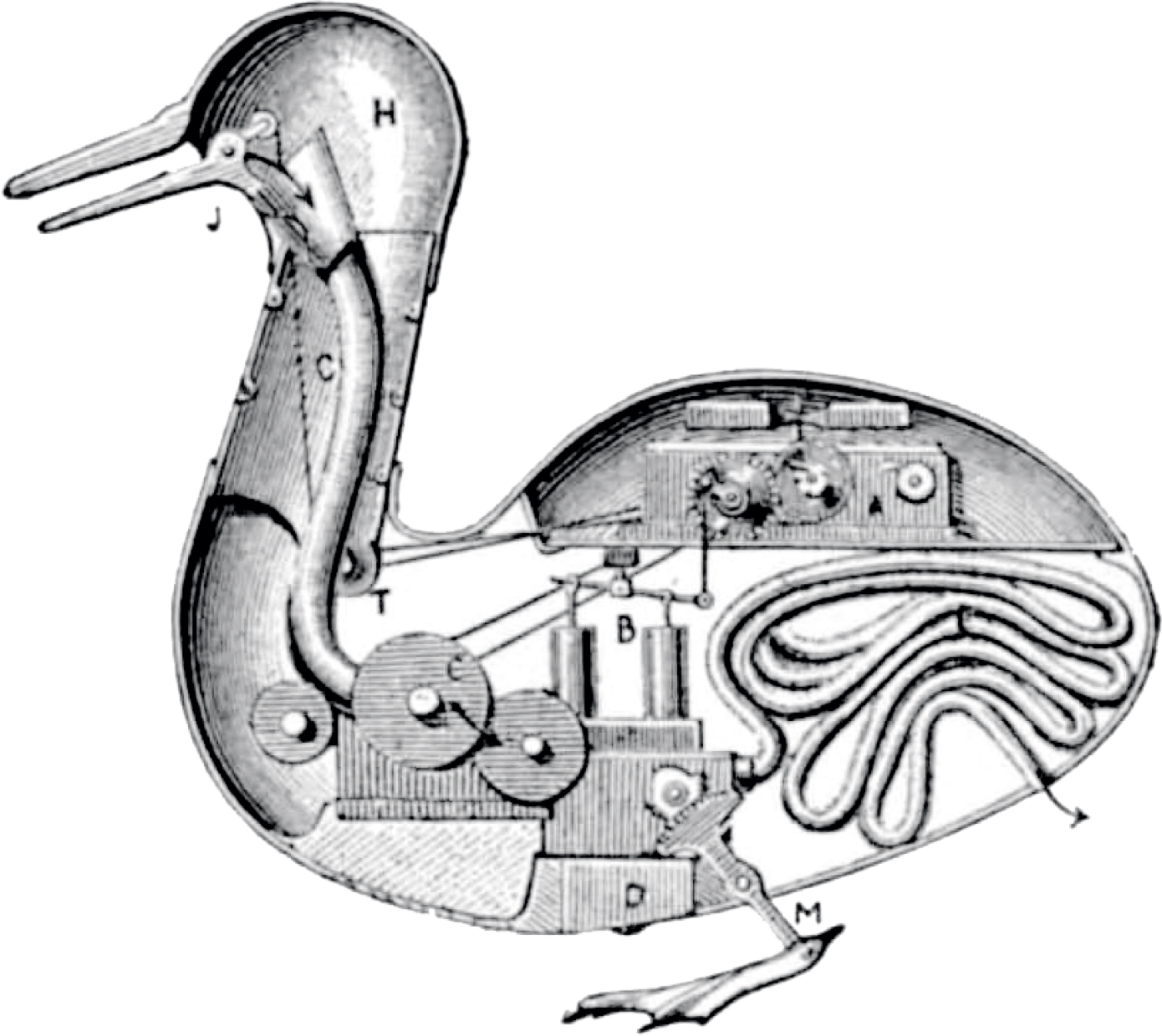 A Postulated interior of the duck of Vaucanson