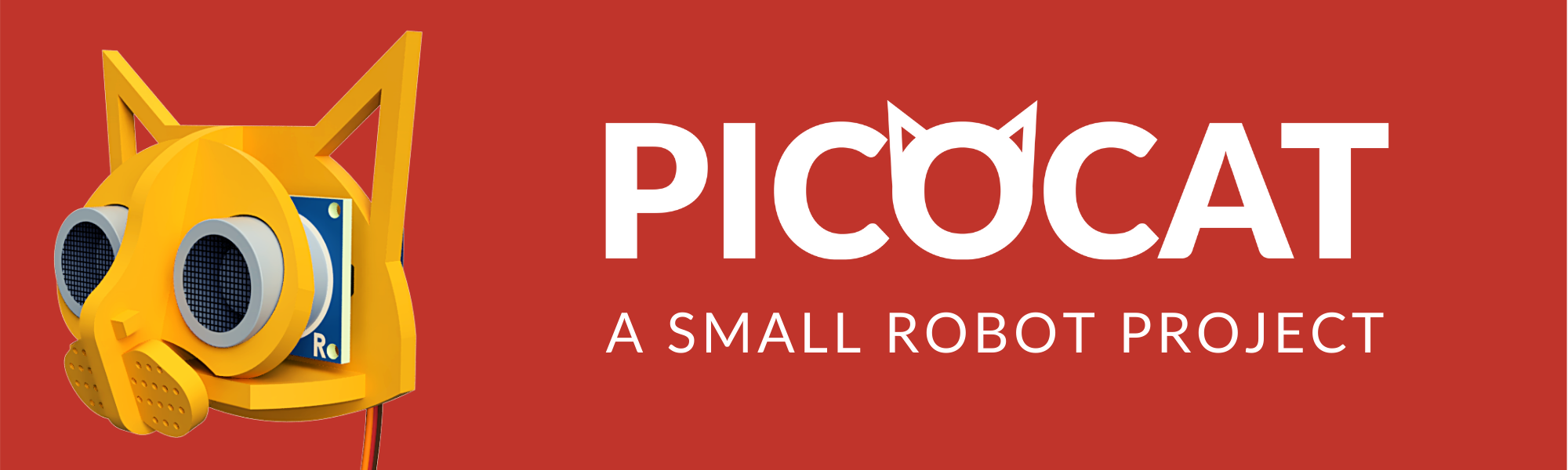 🐱 PicoCat image